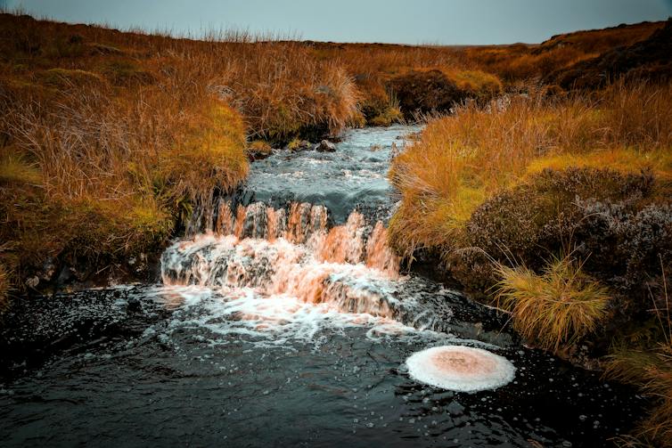 A small waterfall surrounded by moorland vegetation.